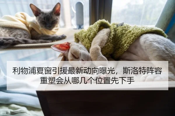 利物浦夏窗引援最新动向曝光，斯洛特阵容重塑会从哪几个位置先下手